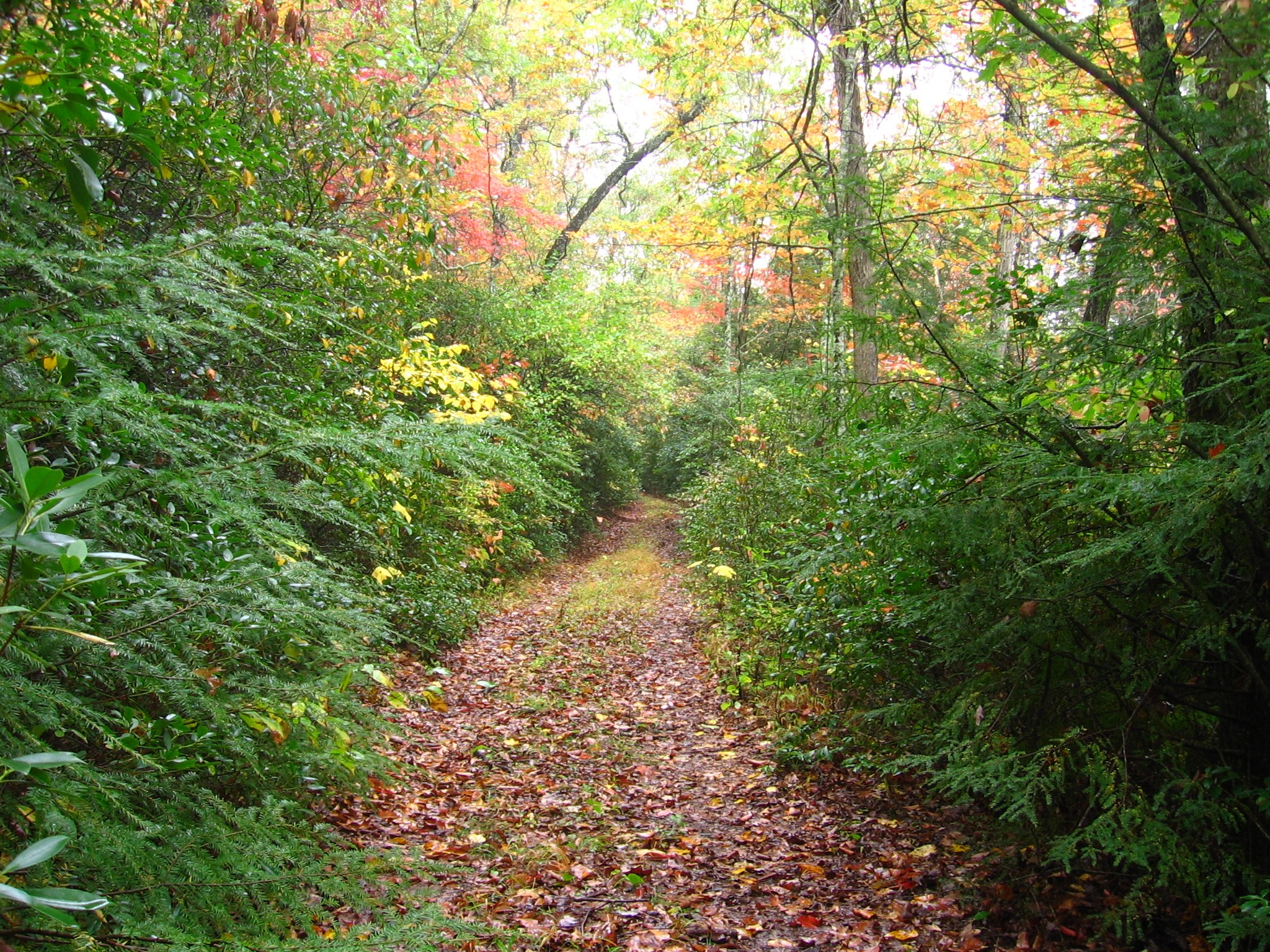 Photo 1 of 23 of 0 Wolf Creek Drive land