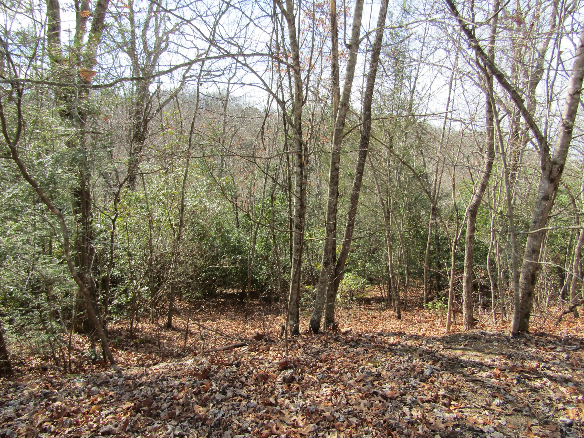 Photo 11 of 23 of 0 Wolf Creek Drive land