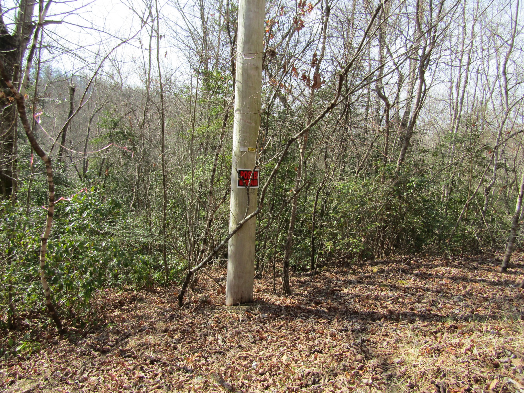 Photo 20 of 23 of 0 Wolf Creek Drive land