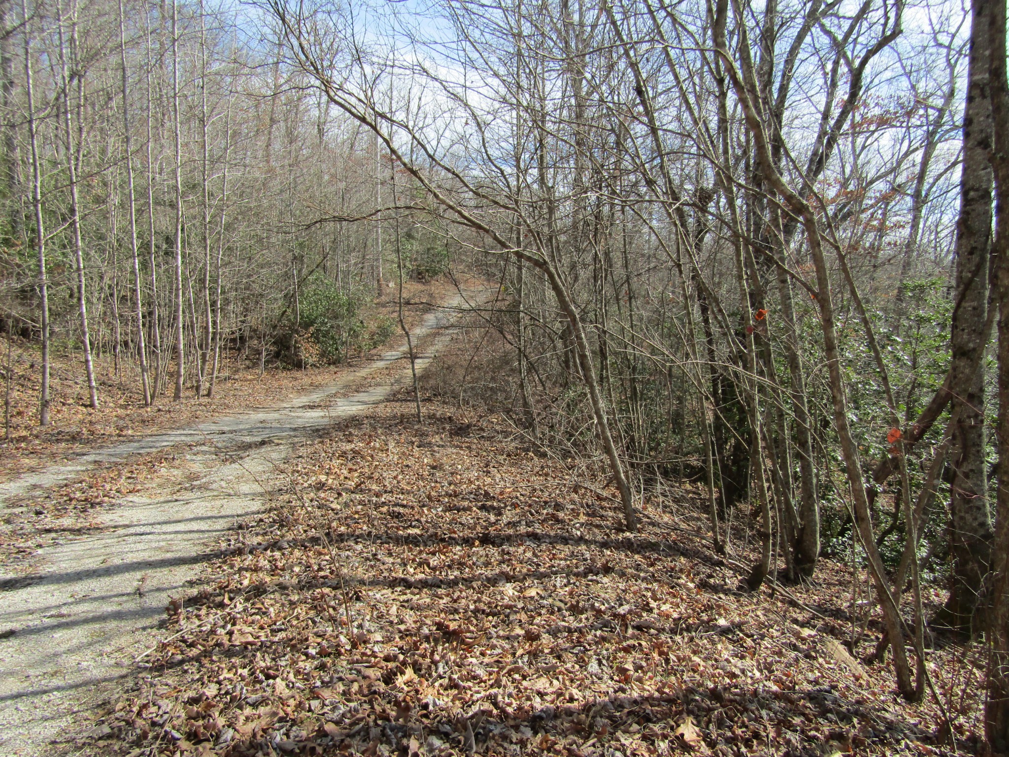 Photo 23 of 23 of 0 Wolf Creek Drive land