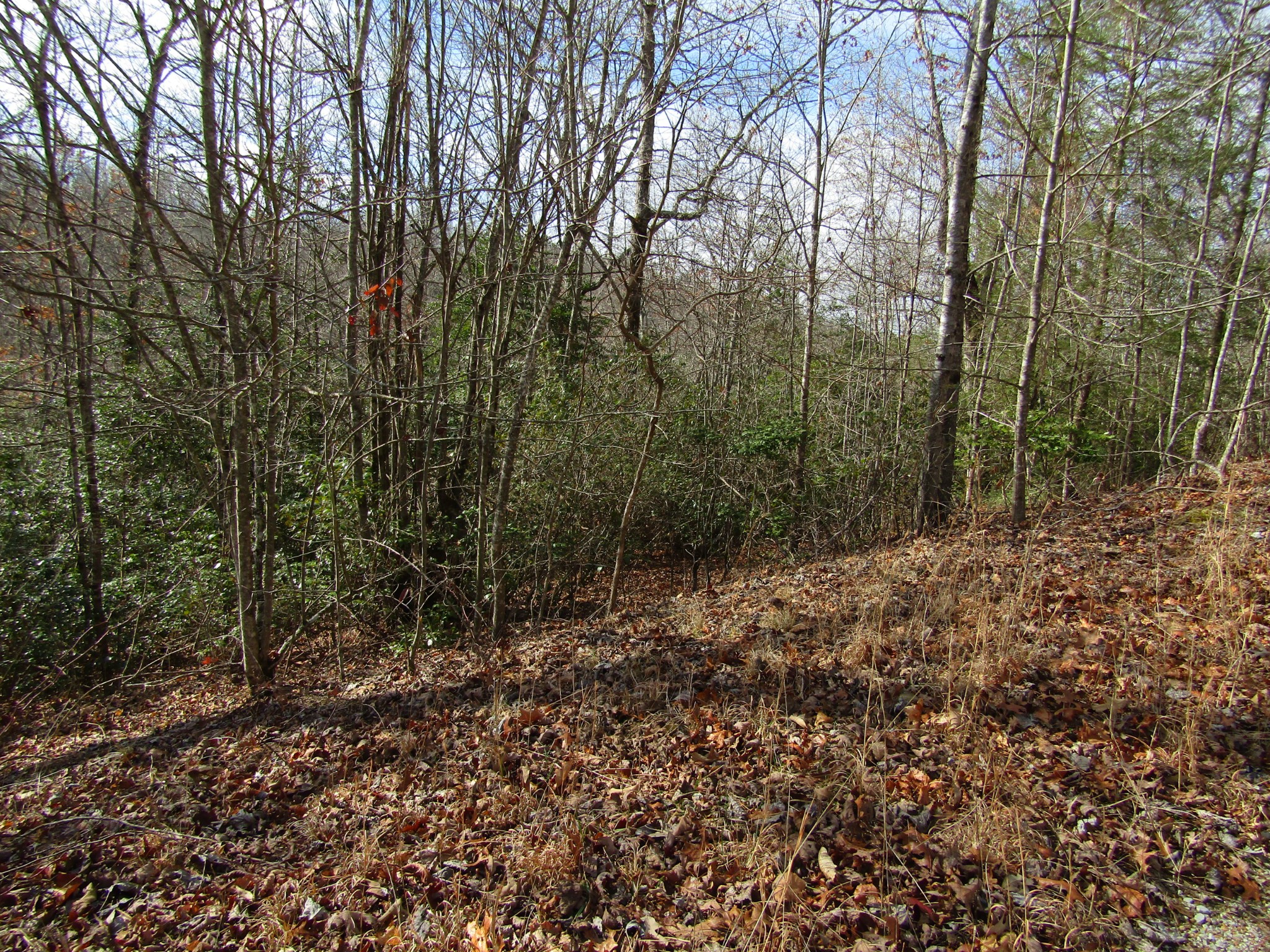 Photo 6 of 23 of 0 Wolf Creek Drive land