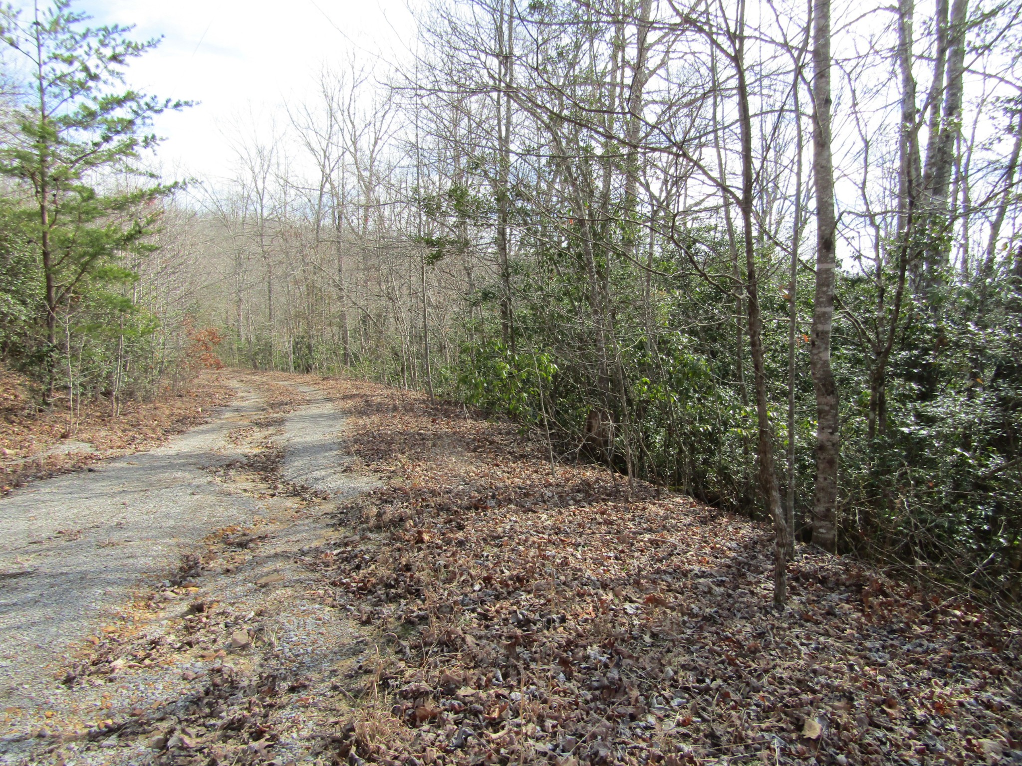 Photo 4 of 23 of 0 Wolf Creek Drive land