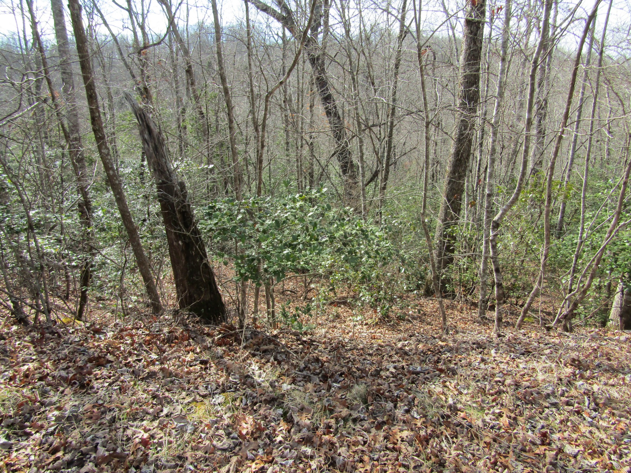 Photo 16 of 23 of 0 Wolf Creek Drive land