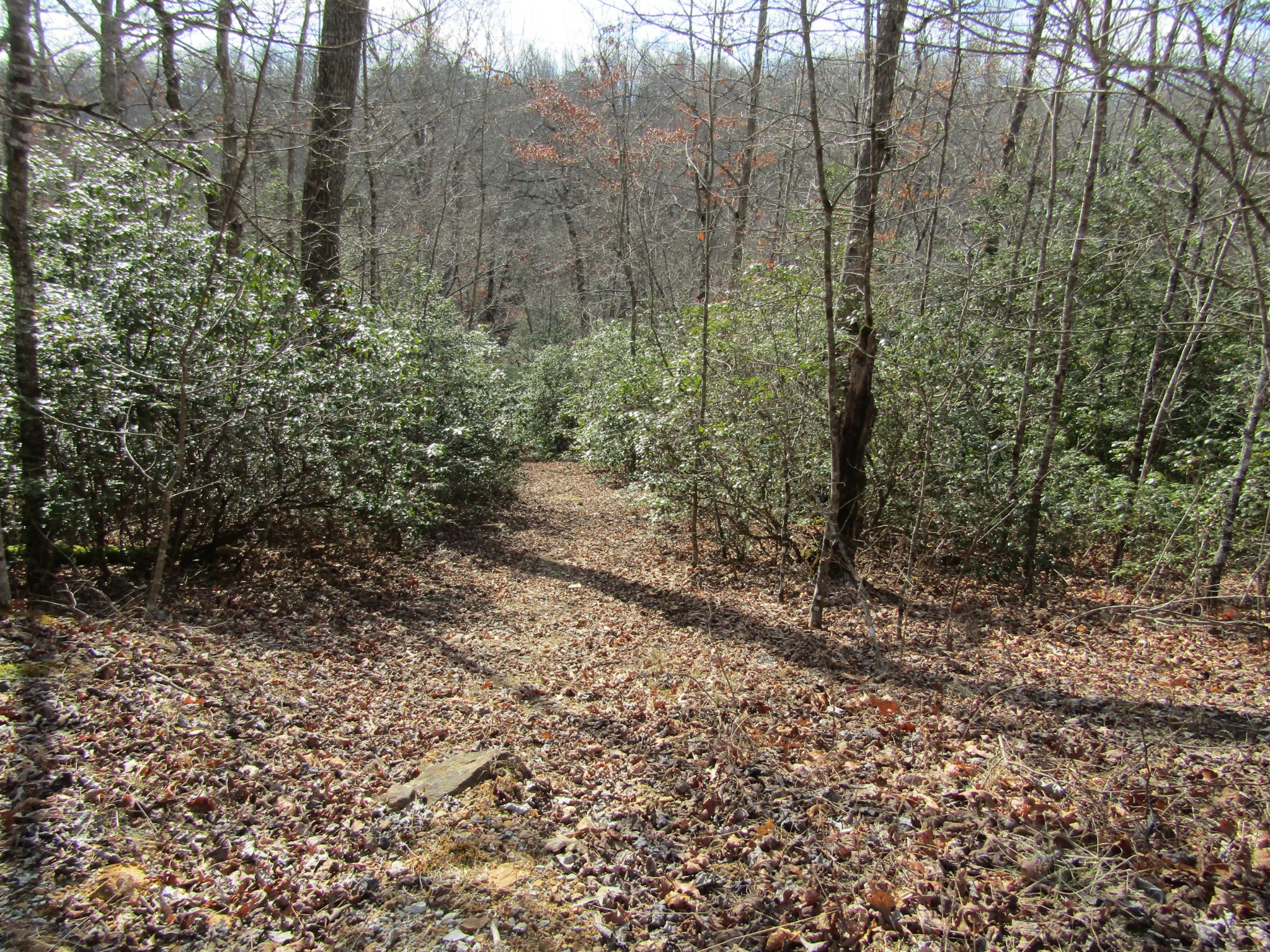 Photo 5 of 23 of 0 Wolf Creek Drive land