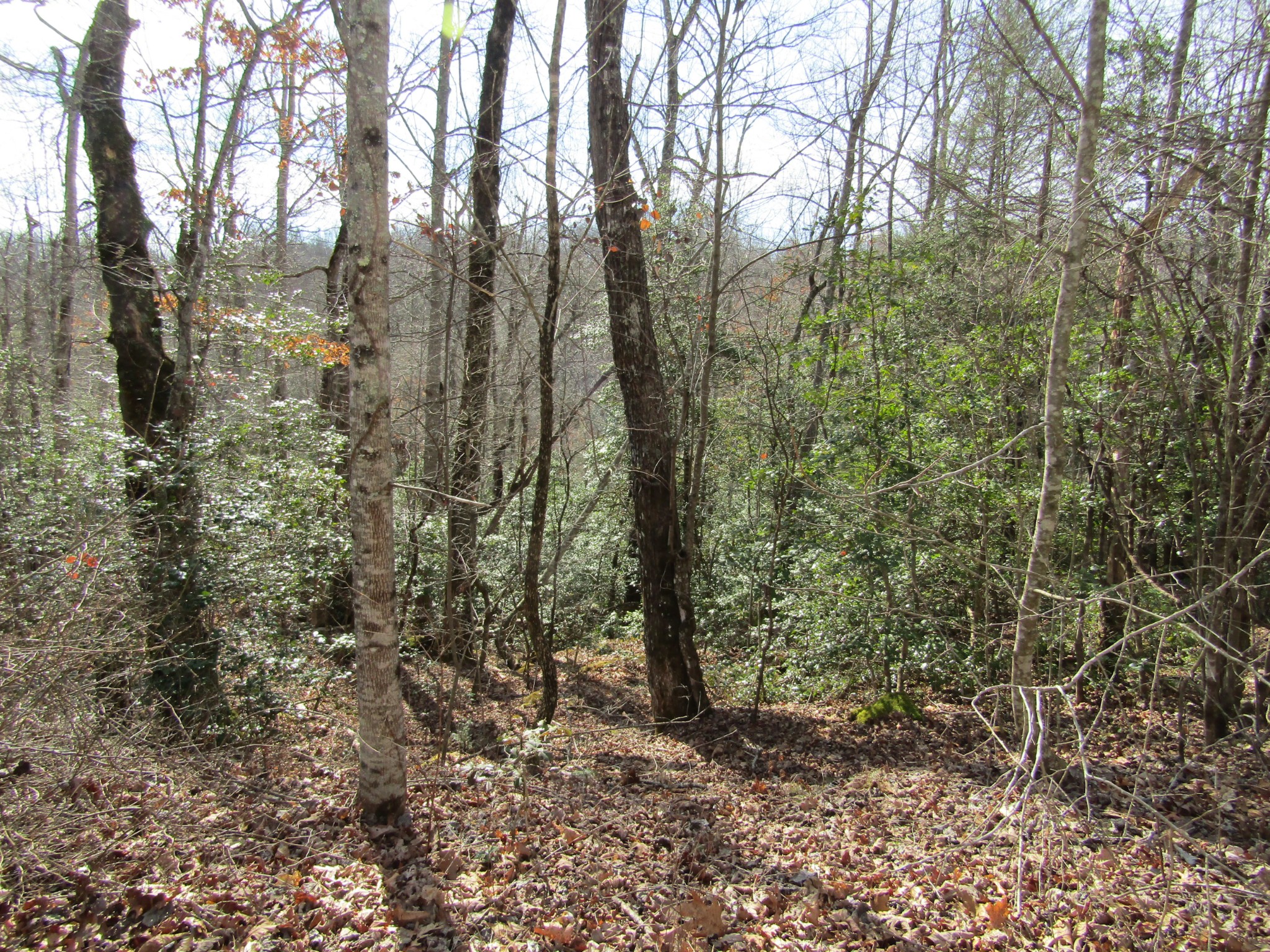 Photo 18 of 23 of 0 Wolf Creek Drive land