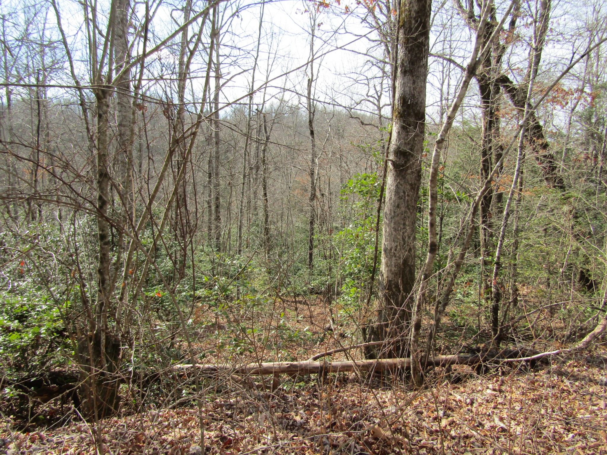 Photo 17 of 23 of 0 Wolf Creek Drive land