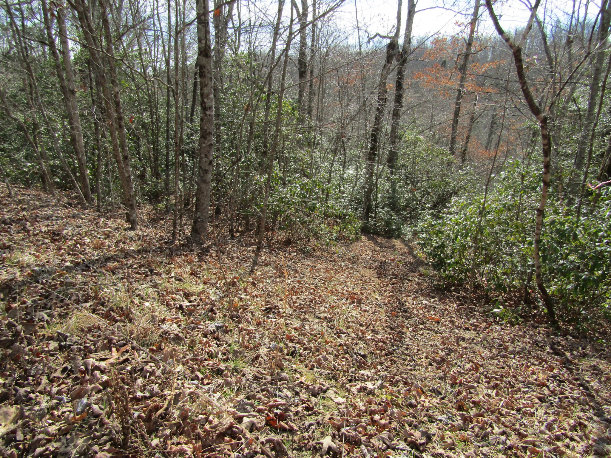 Photo 21 of 23 of 0 Wolf Creek Drive land