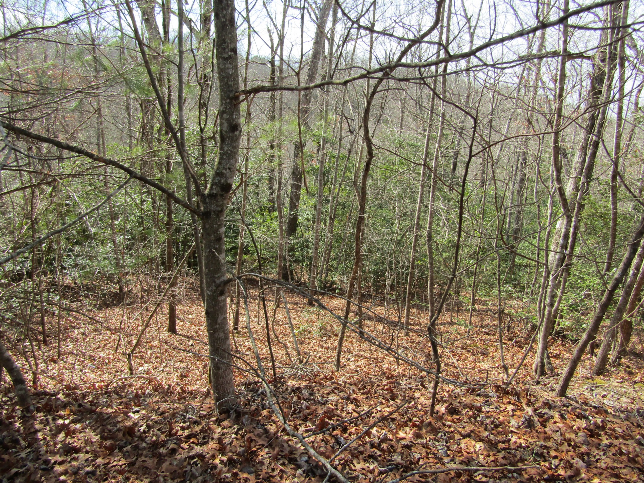Photo 13 of 23 of 0 Wolf Creek Drive land