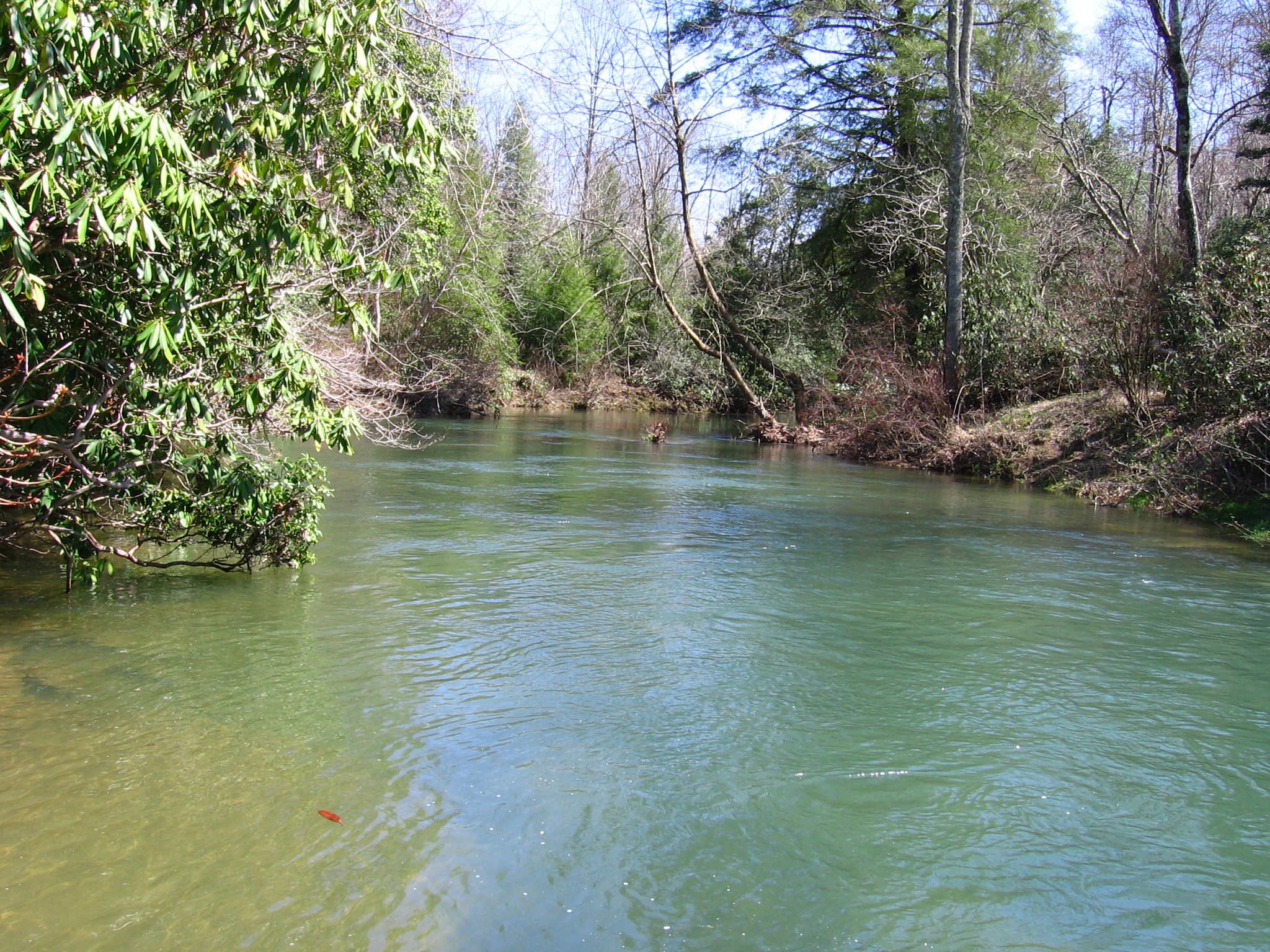 Photo 2 of 23 of 0 Wolf Creek Drive land