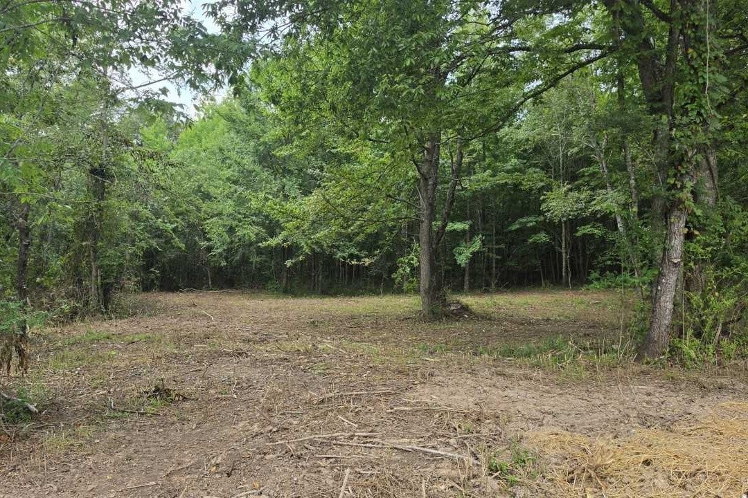 0 Dukes Park Rd