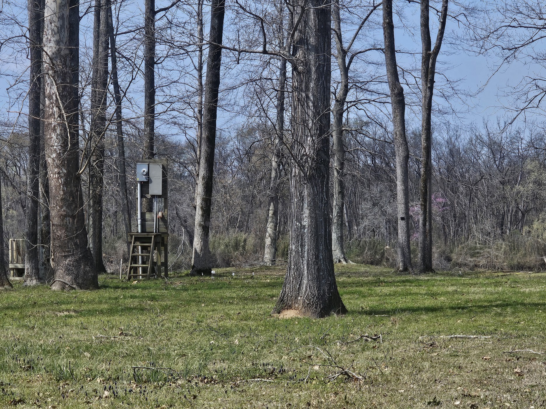 2615 Col James Hardin Dr