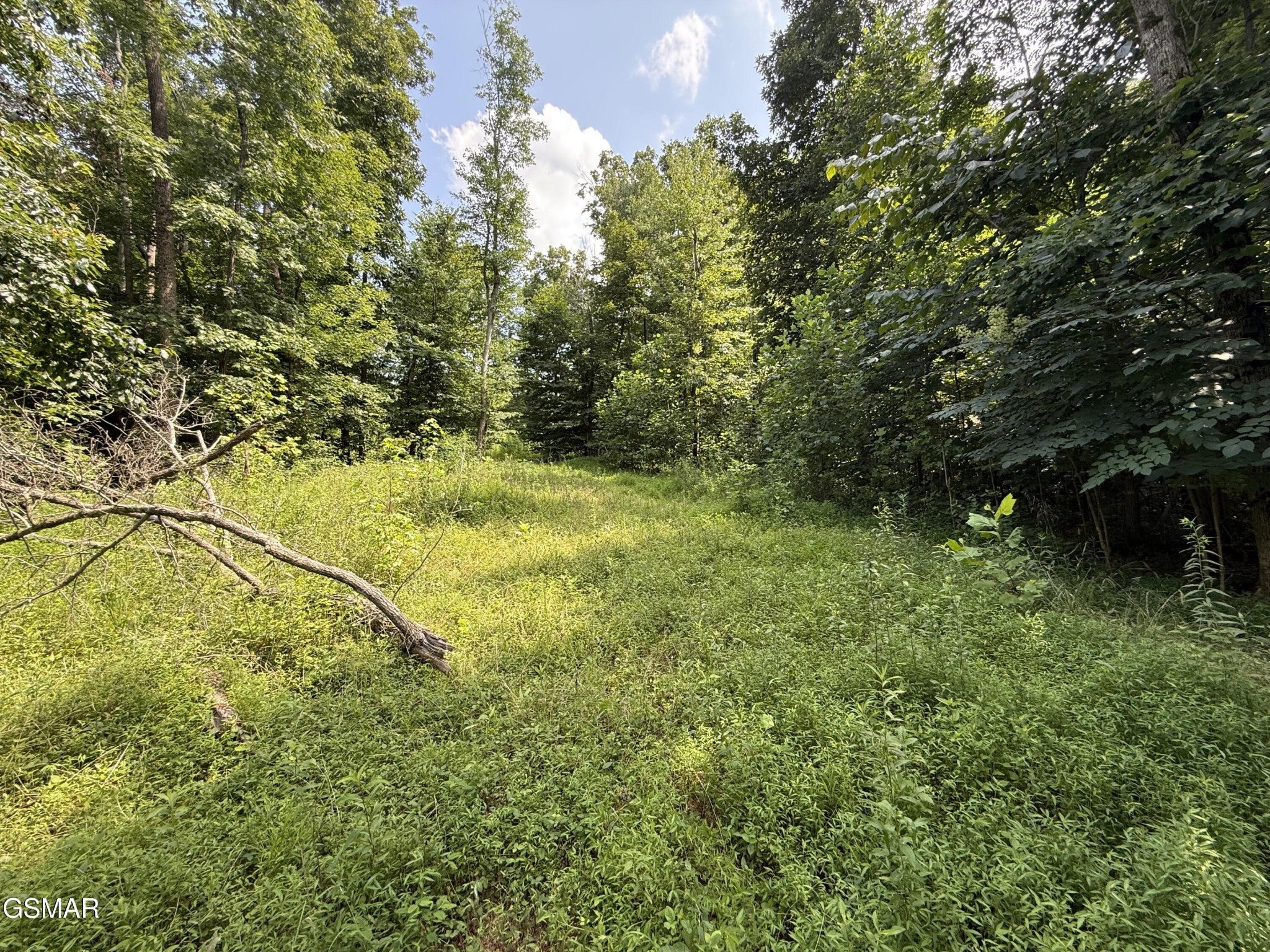 171 Jack Green Road