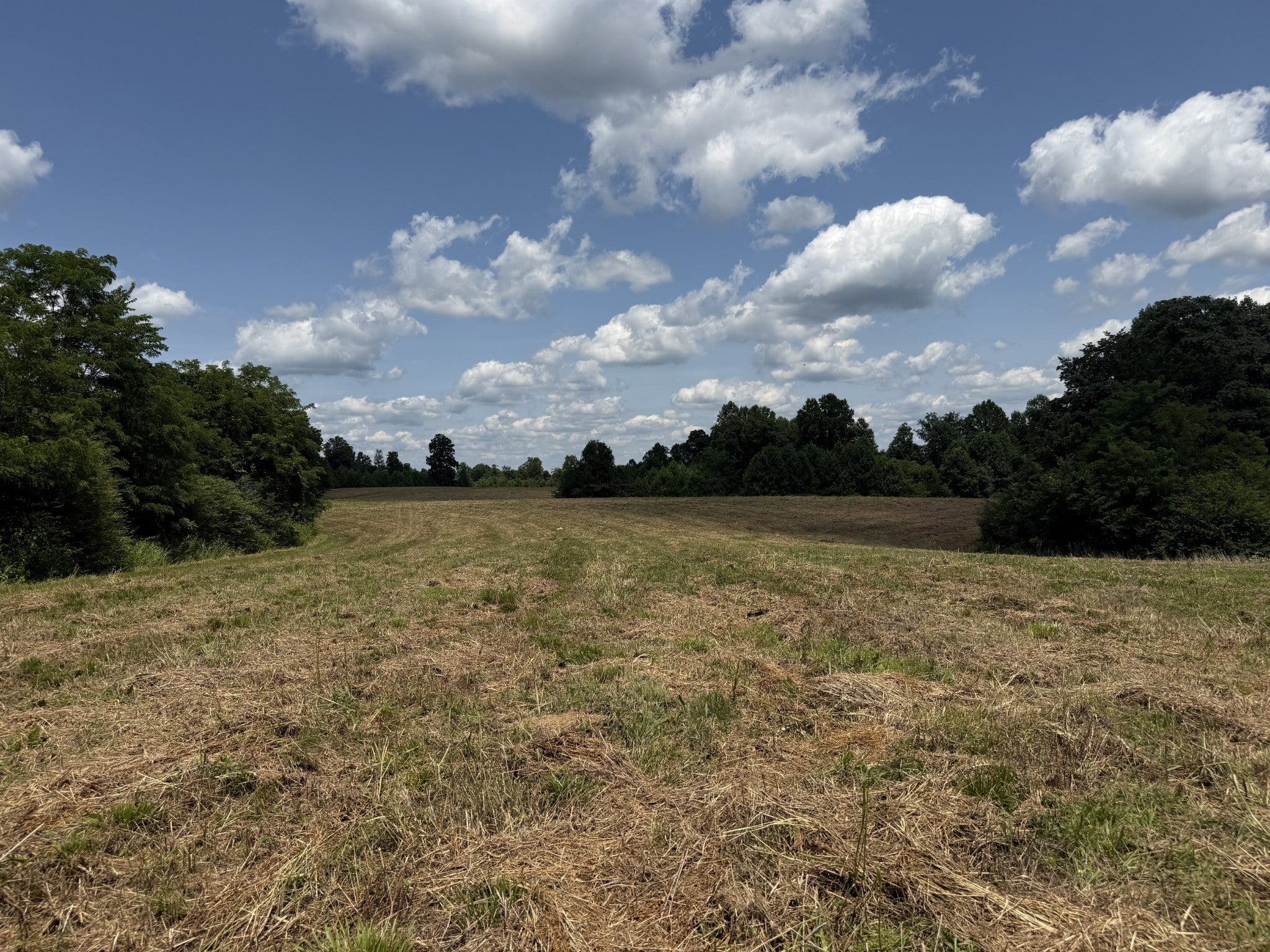 3225 S Grundy Quarles Hwy