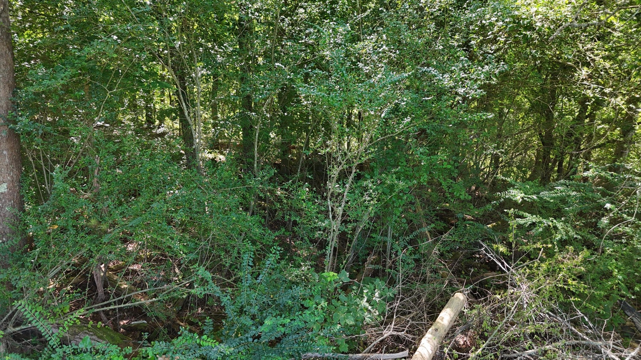 0 Fezzell Road