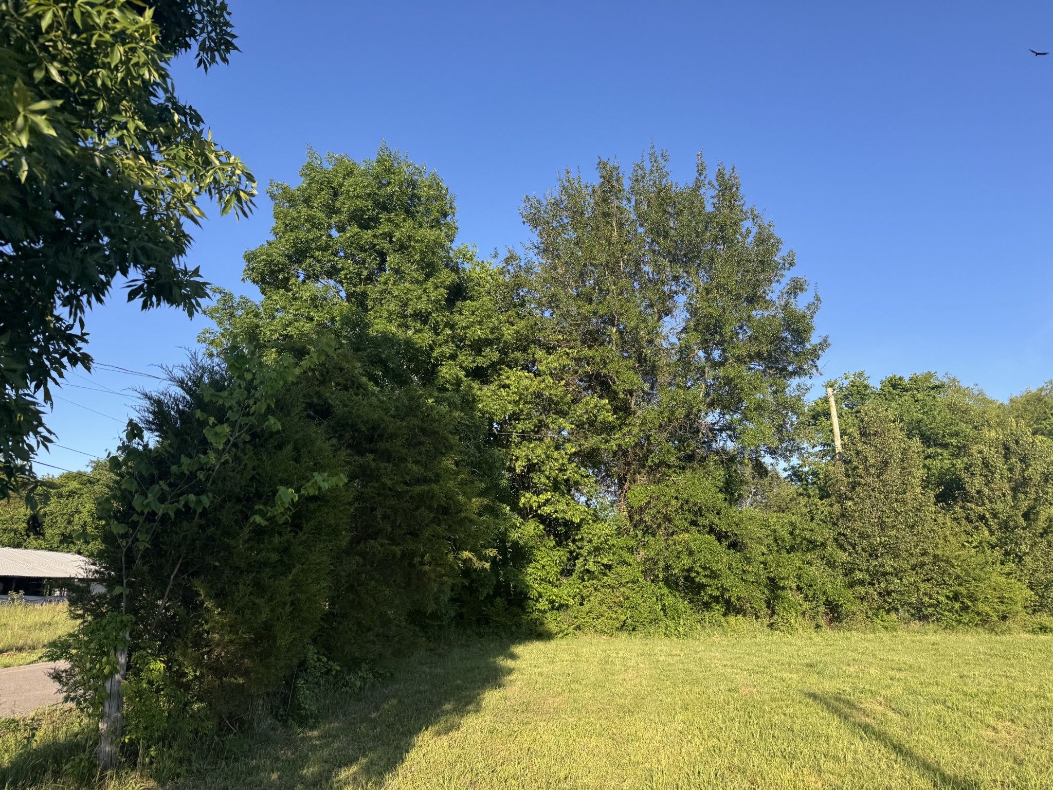 129 John Shaw Rd