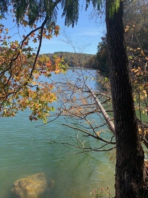 0 Grandview Lake Rd Lot 4 Estill Springs TN 37330