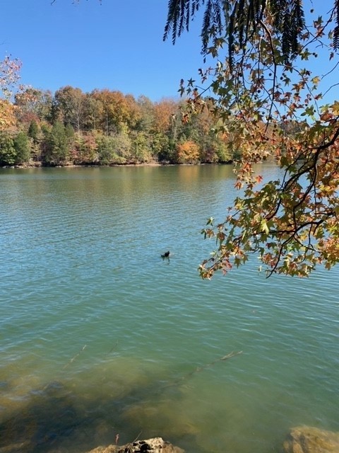 0 Grandview Lake Rd Lot 4