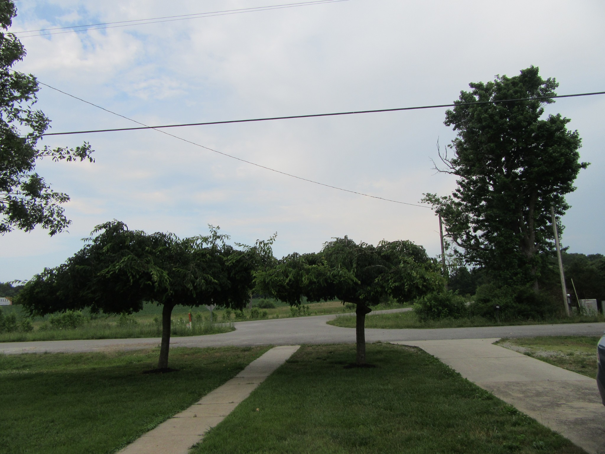 Photo 5 of 20 of 24 Pleasant Ridge Ct house