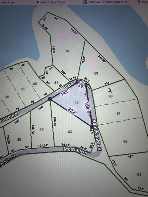 0 Bald Knob Rd Tennessee Ridge TN 37178