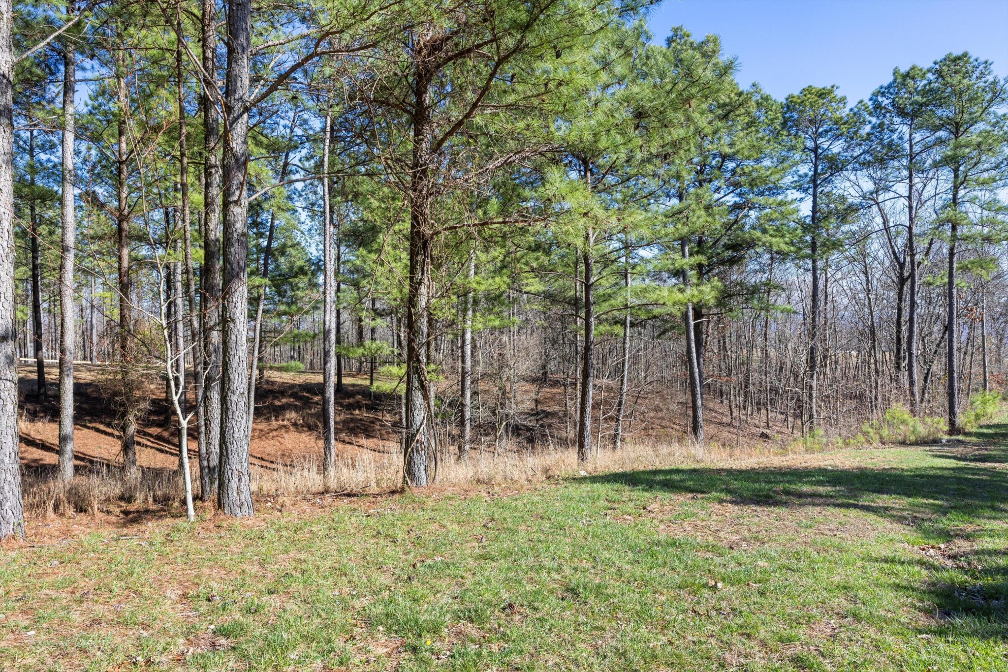 0 Prospectors Way