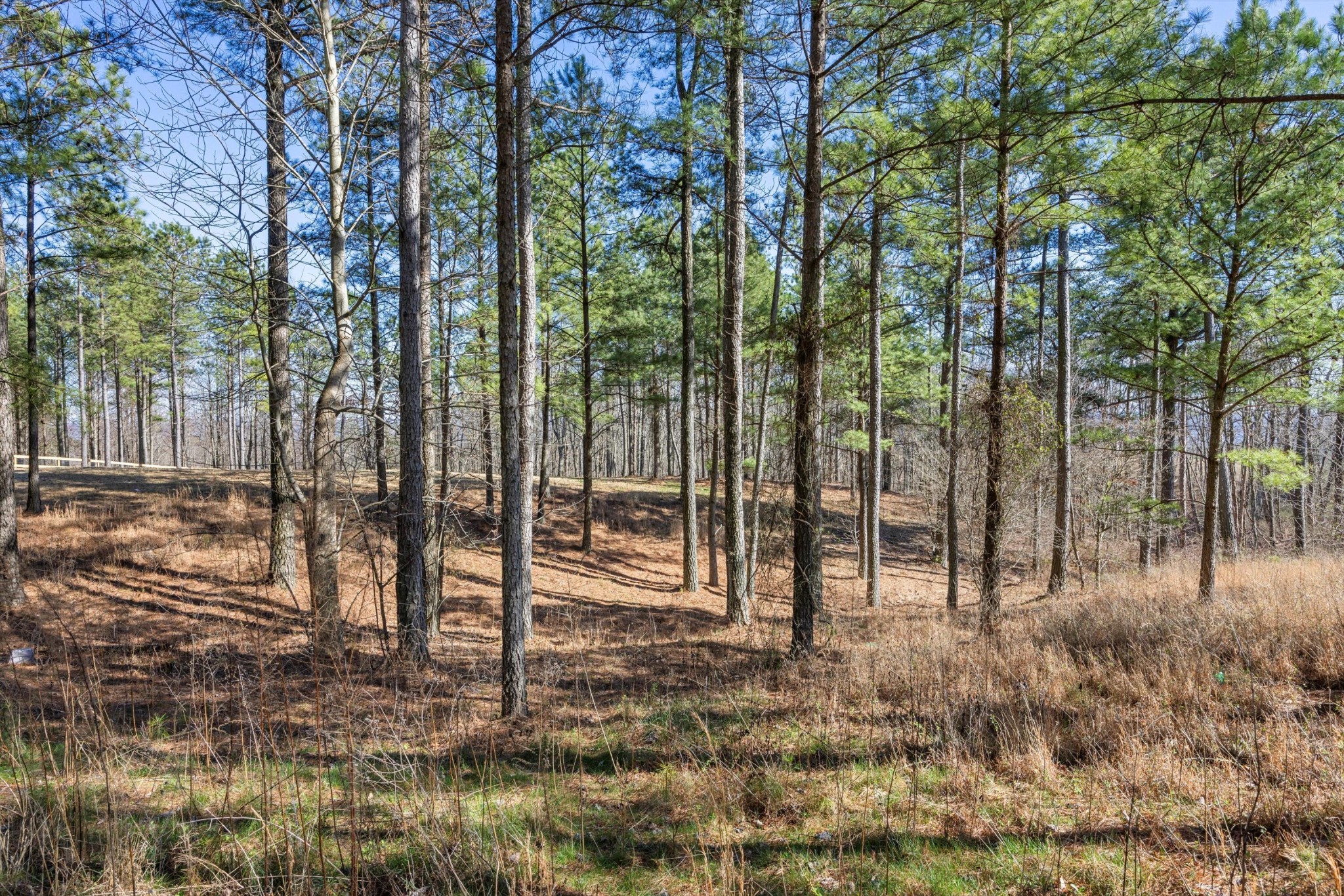 0 Prospectors Way