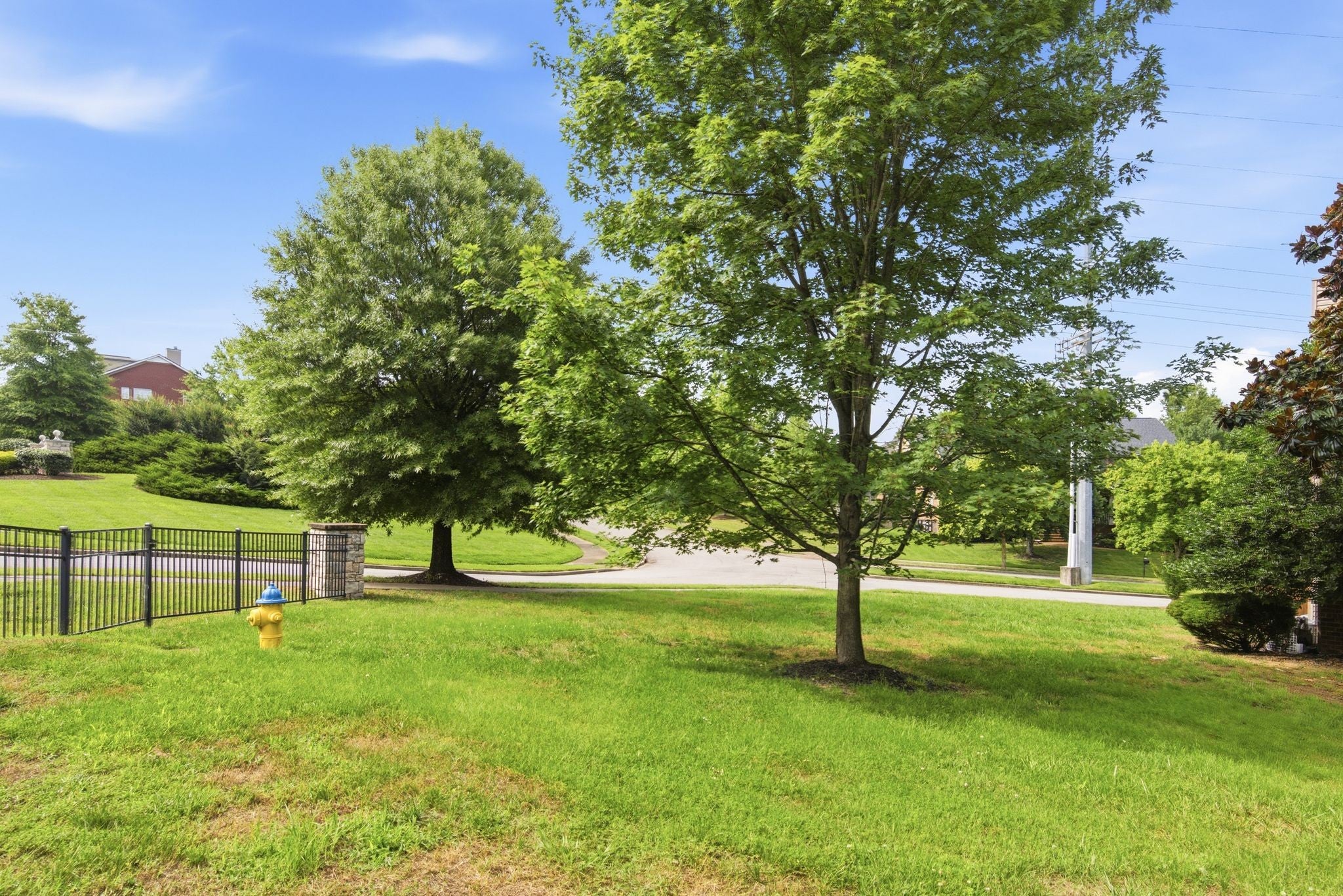 3041 Oxford Glen Dr, Franklin TN 37067 5-bed home, photo 6 of 30