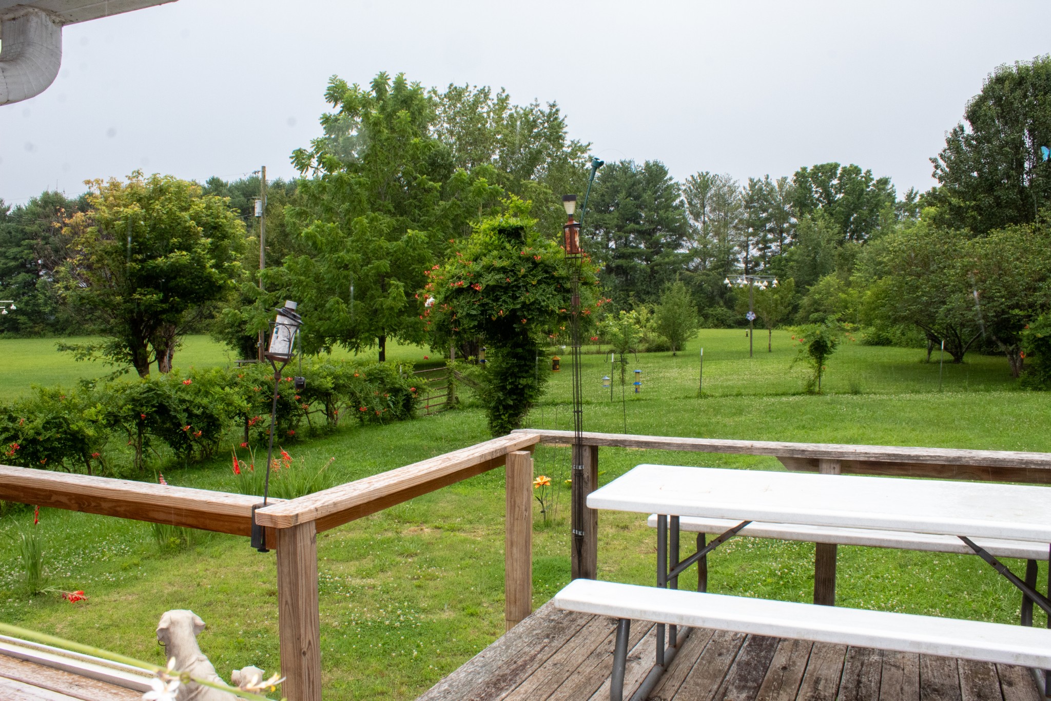 137 James Robert Ln - Photo 4
