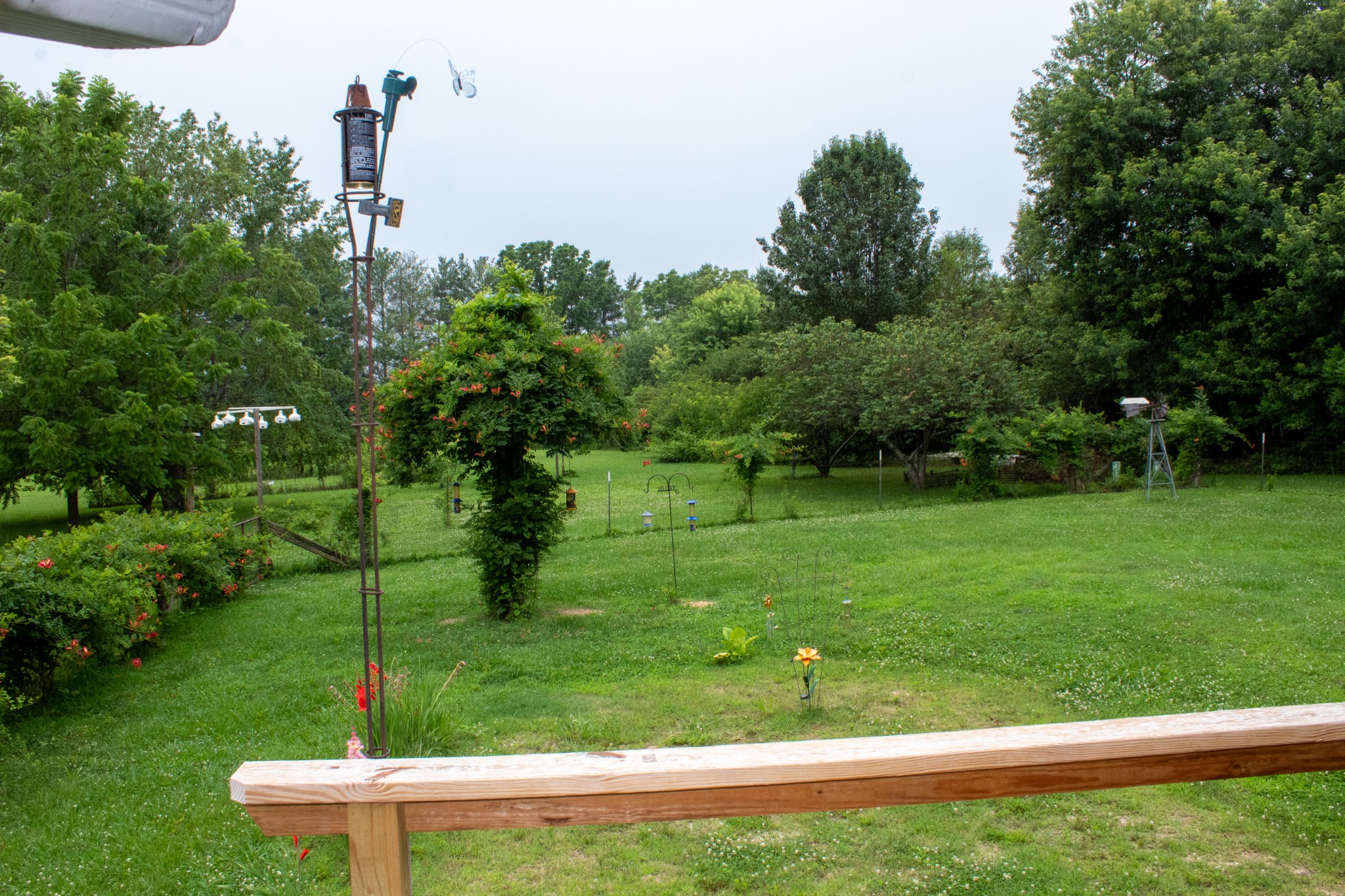 137 James Robert Ln - Photo 3