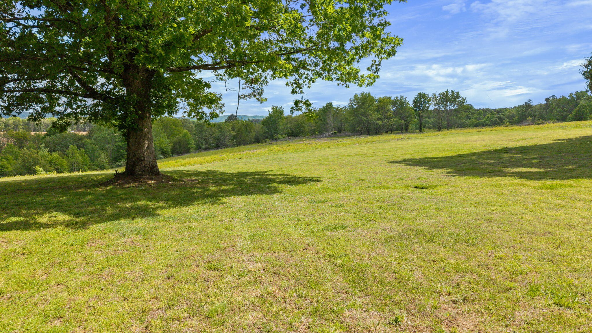 10006 Birchwood Pike