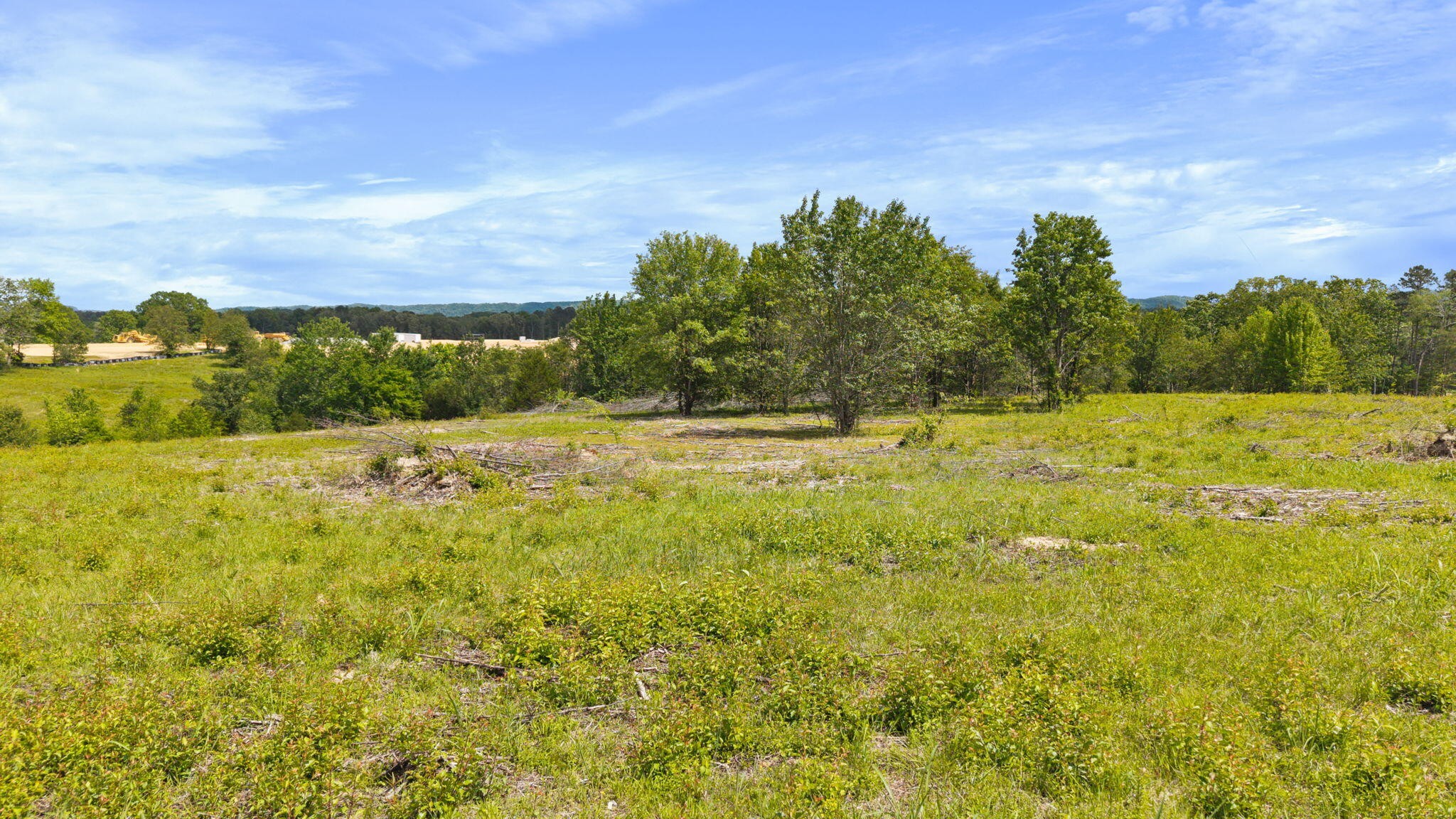 10006 Birchwood Pike