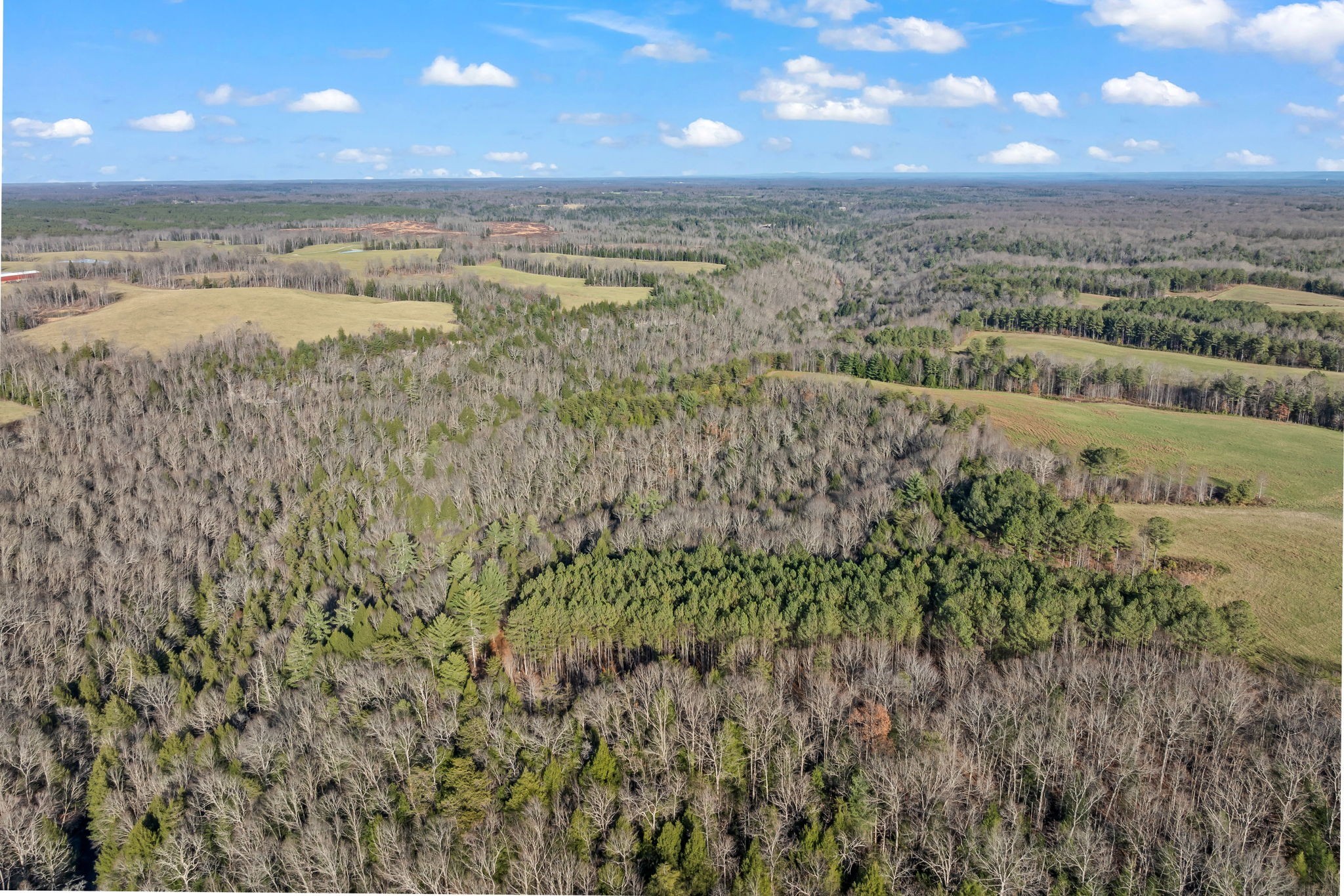 0 Prong Of Clear Fork