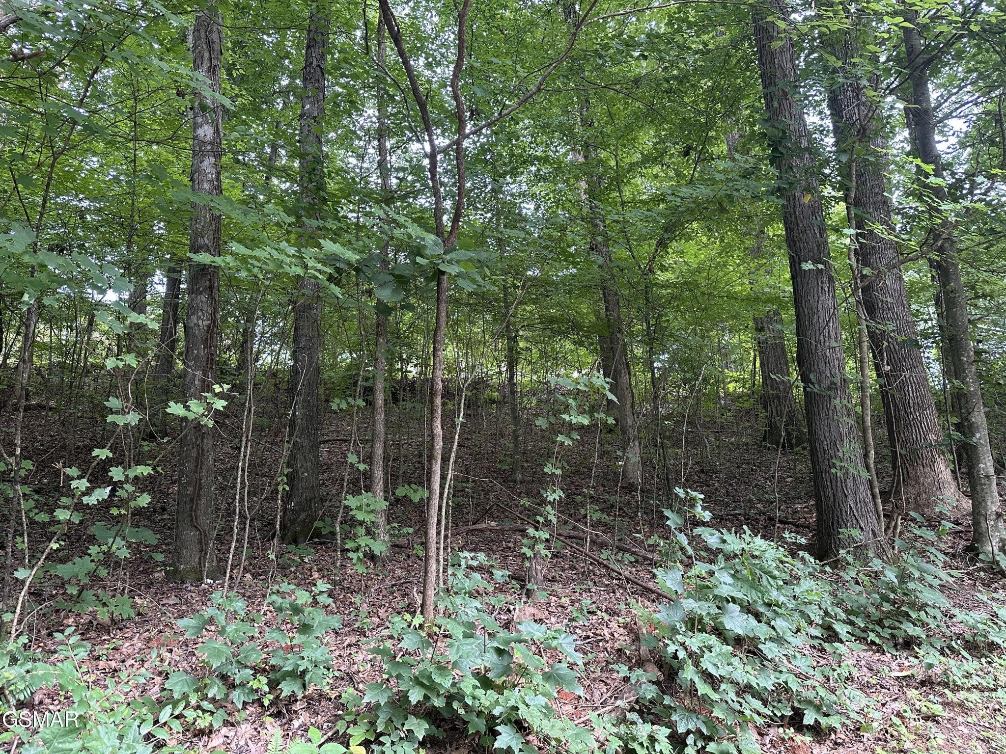 75 Highpoint Drive