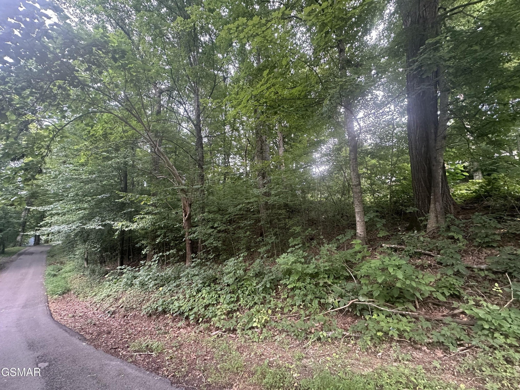 75 Highpoint Drive