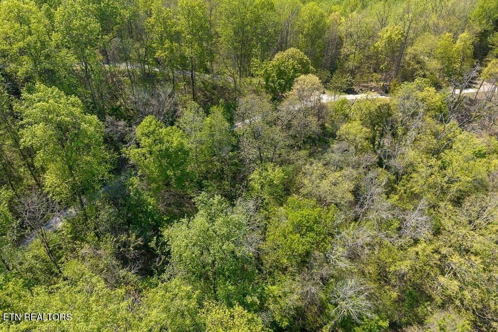 588 Austin Bottom Rd