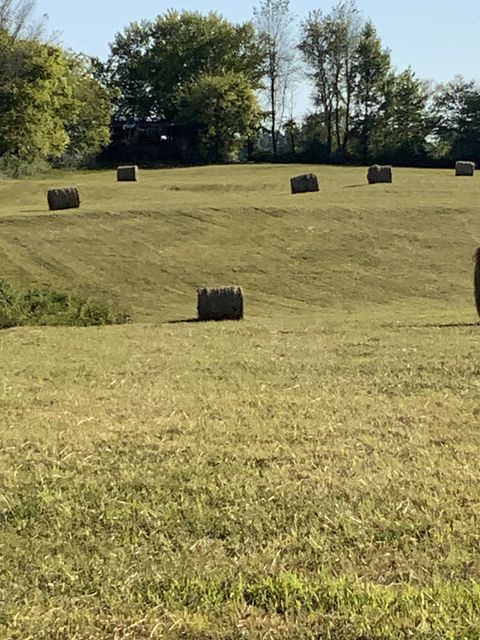 0 Deer Ridge Road Primm Springs TN 38476