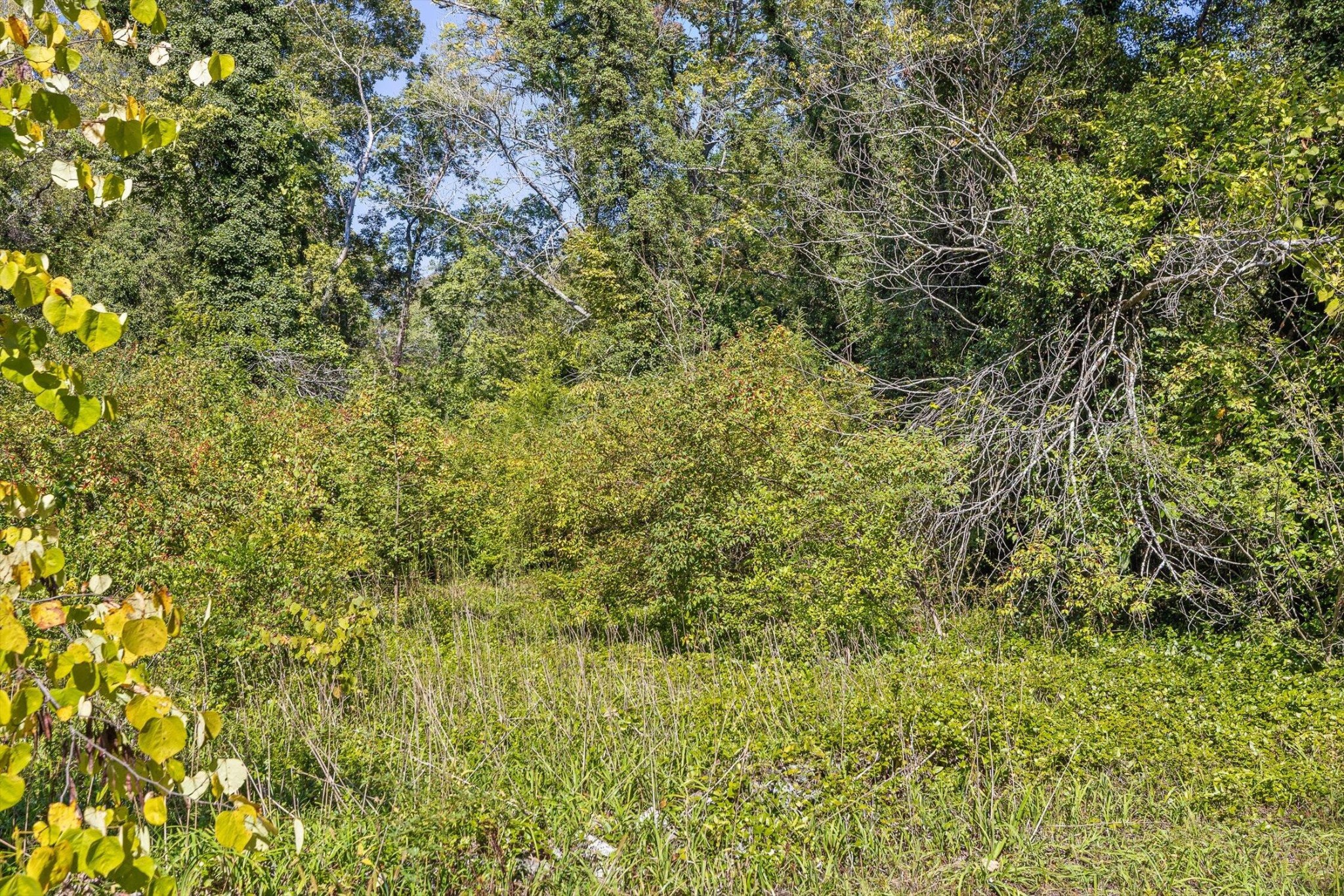 1212 Cinderella Road