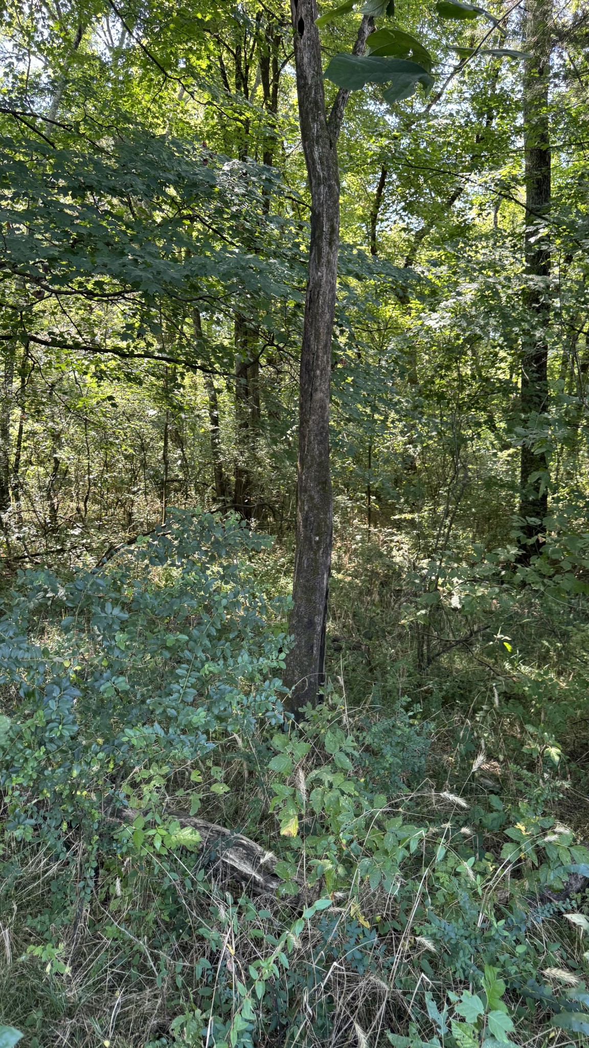 8322 Horton Hwy