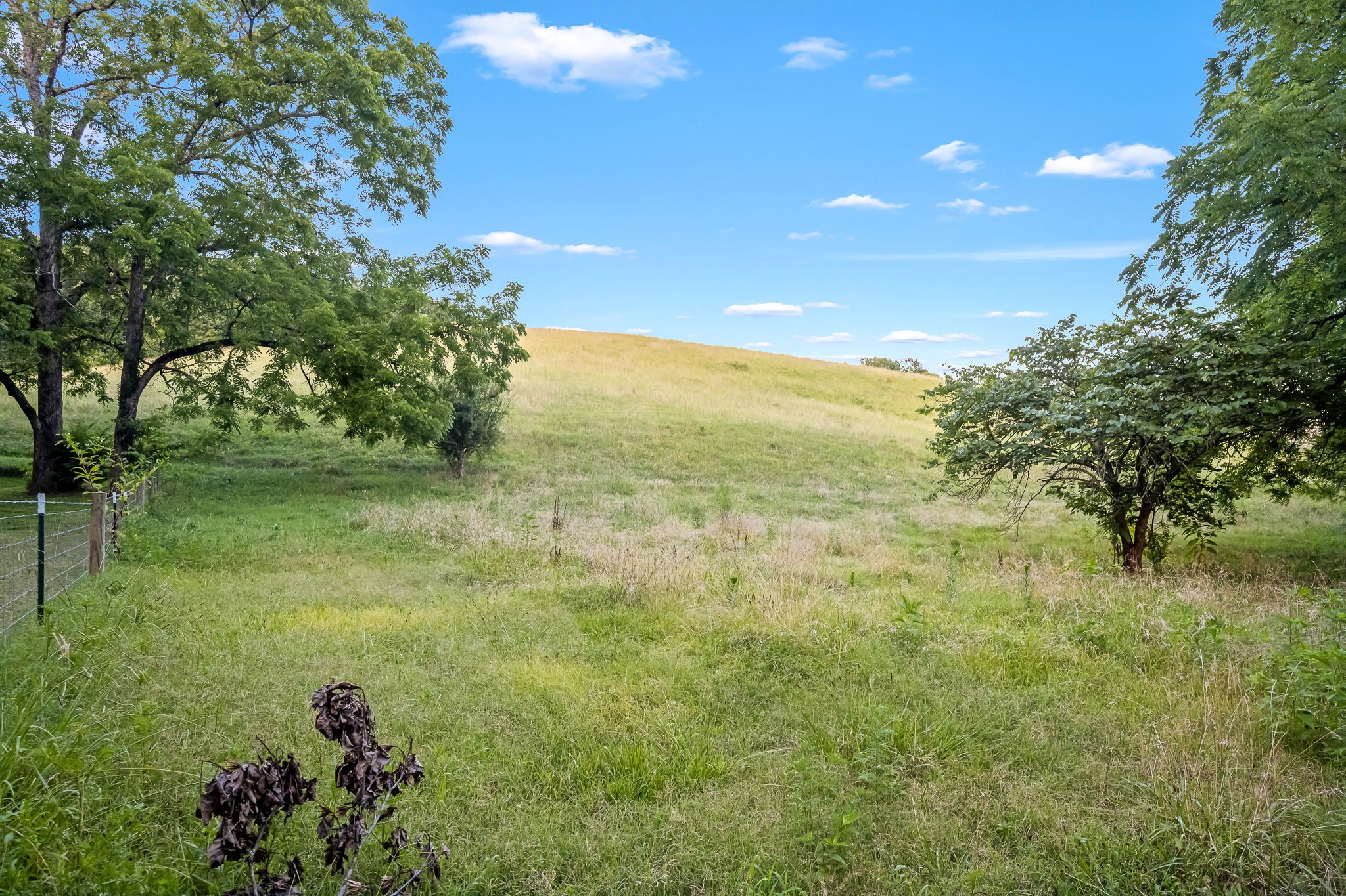 702 Williamson Hollow Rd