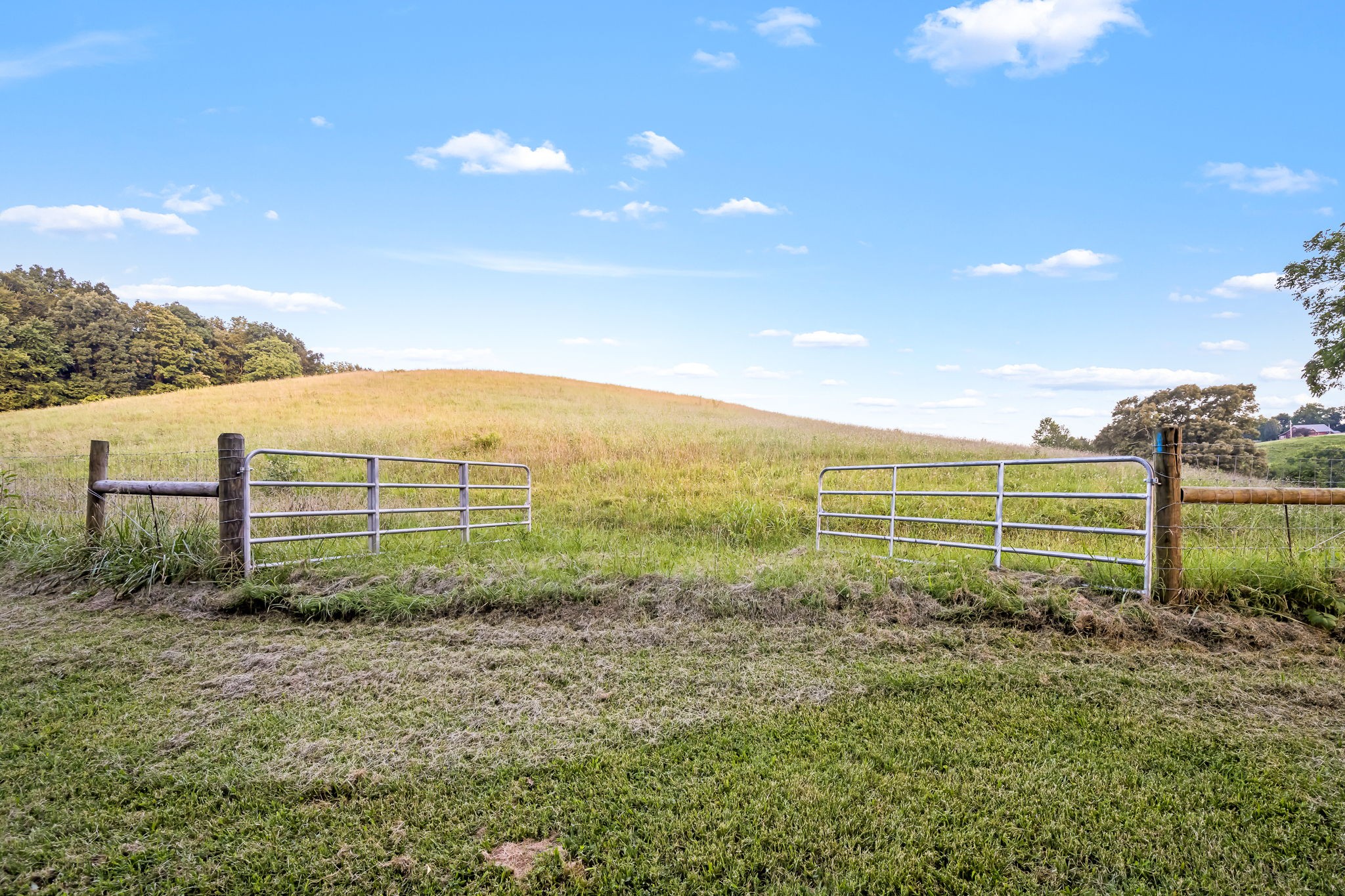 702 Williamson Hollow Rd