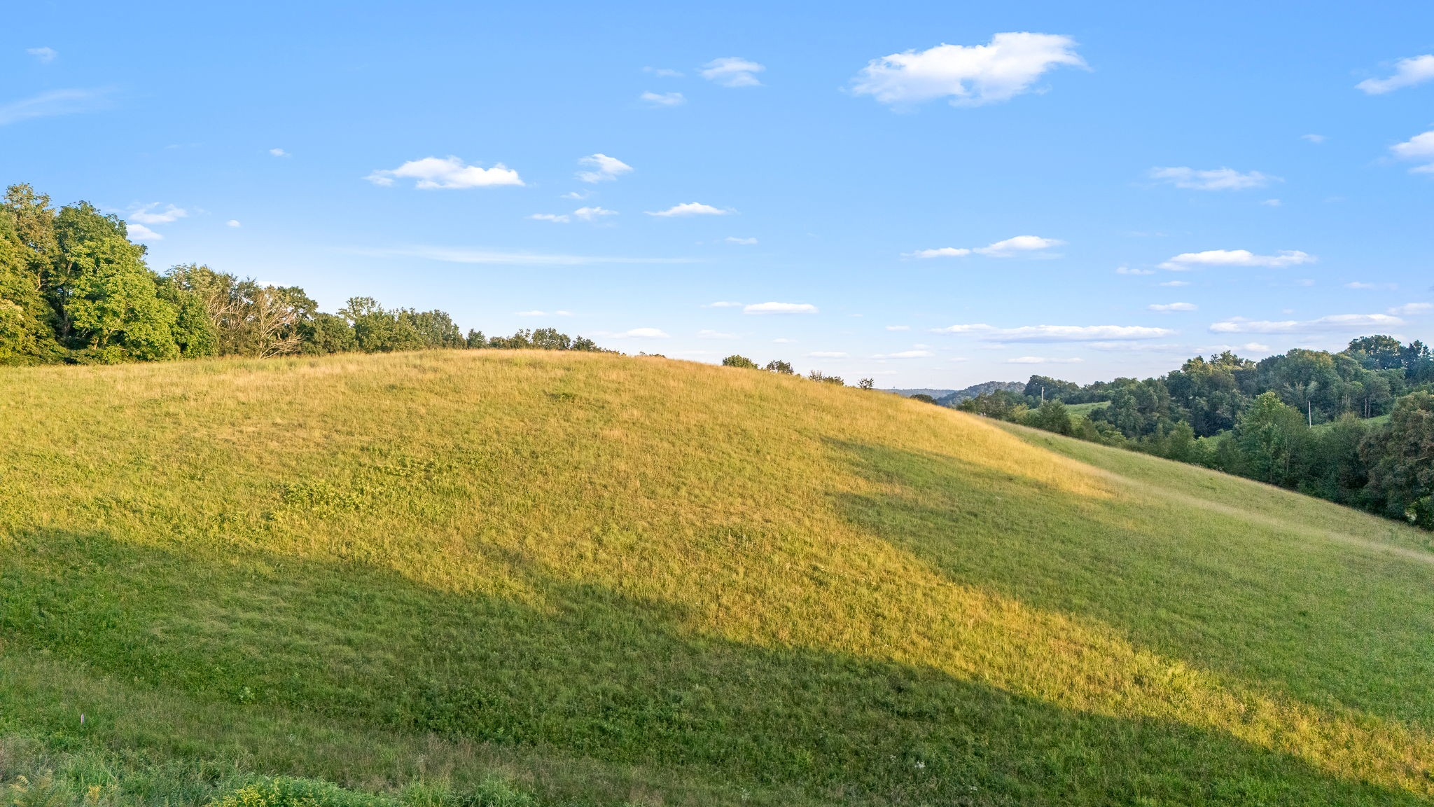 702 Williamson Hollow Rd