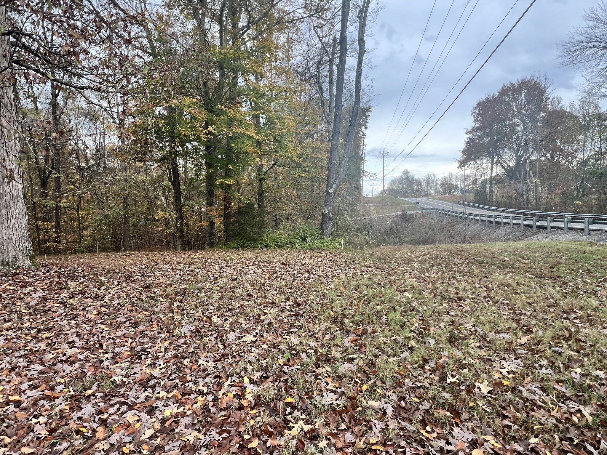 1509 Highway 49 E