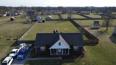 Photo of 1002 Spire Way Dr, Castalian Springs, TN 37031 (MLS # 3146003)