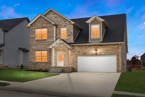 194 Dewberry Ct Clarksville TN 37042