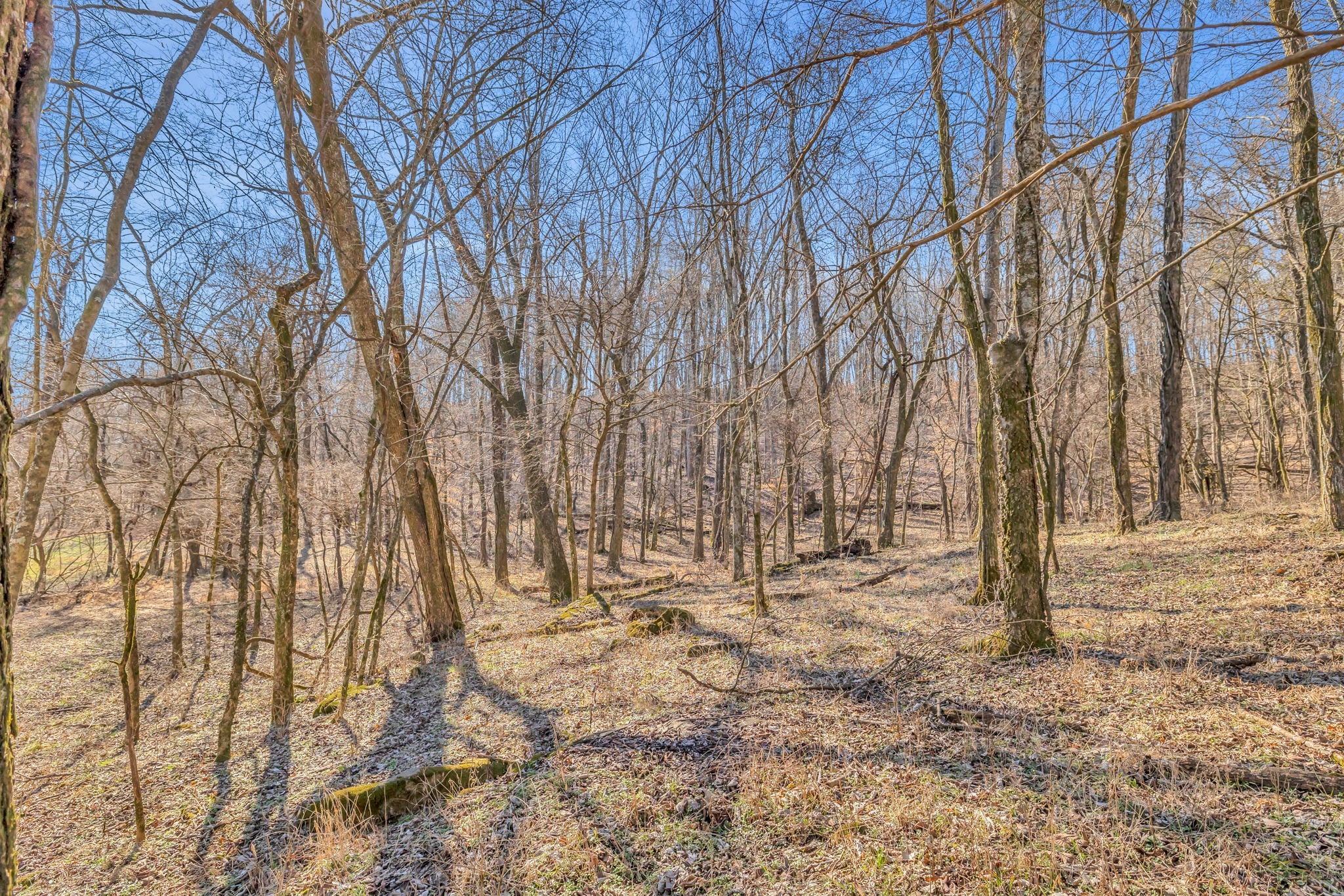 3165 Blazer Rd