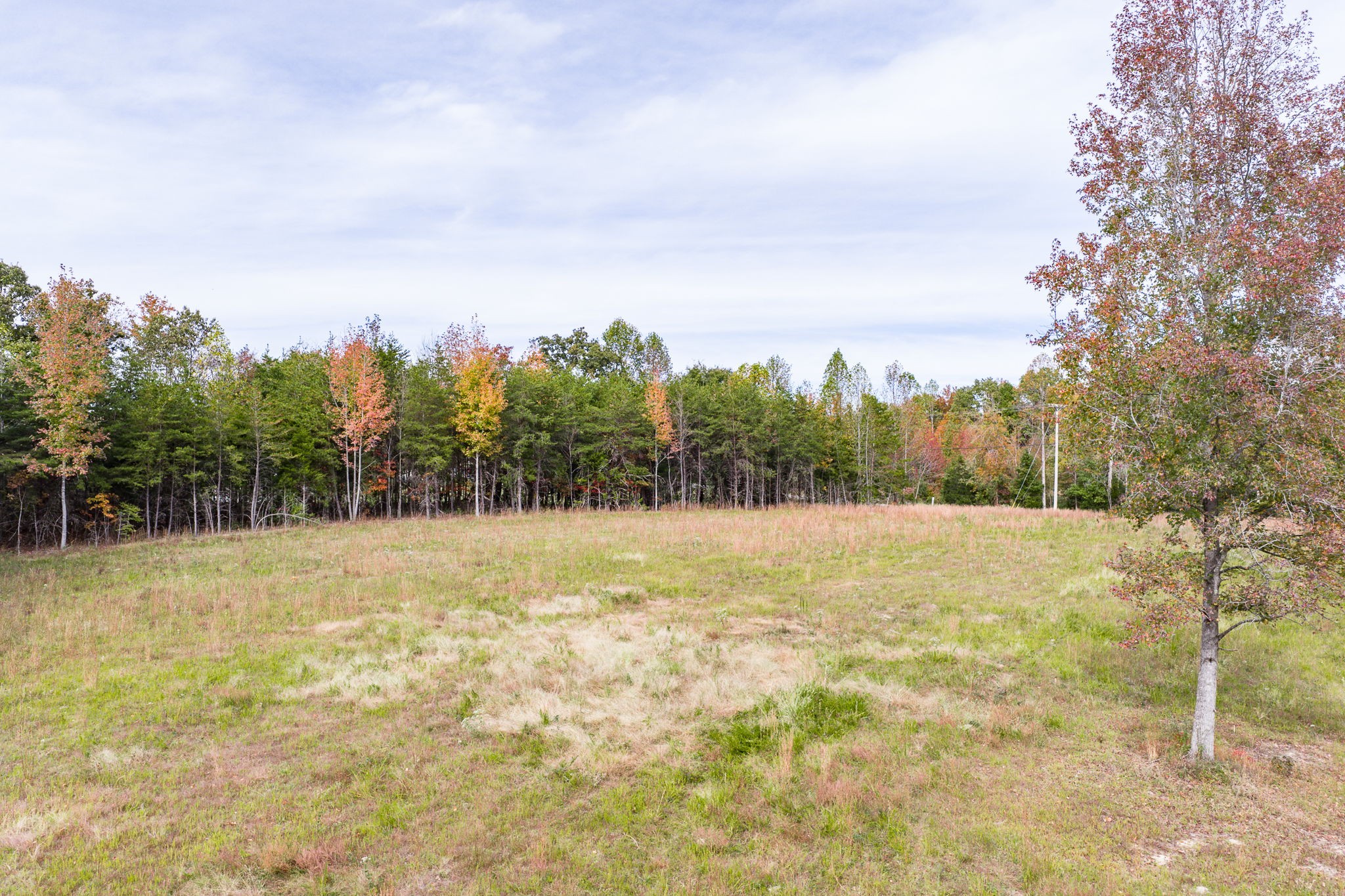 15826 Dodson Branch Hwy