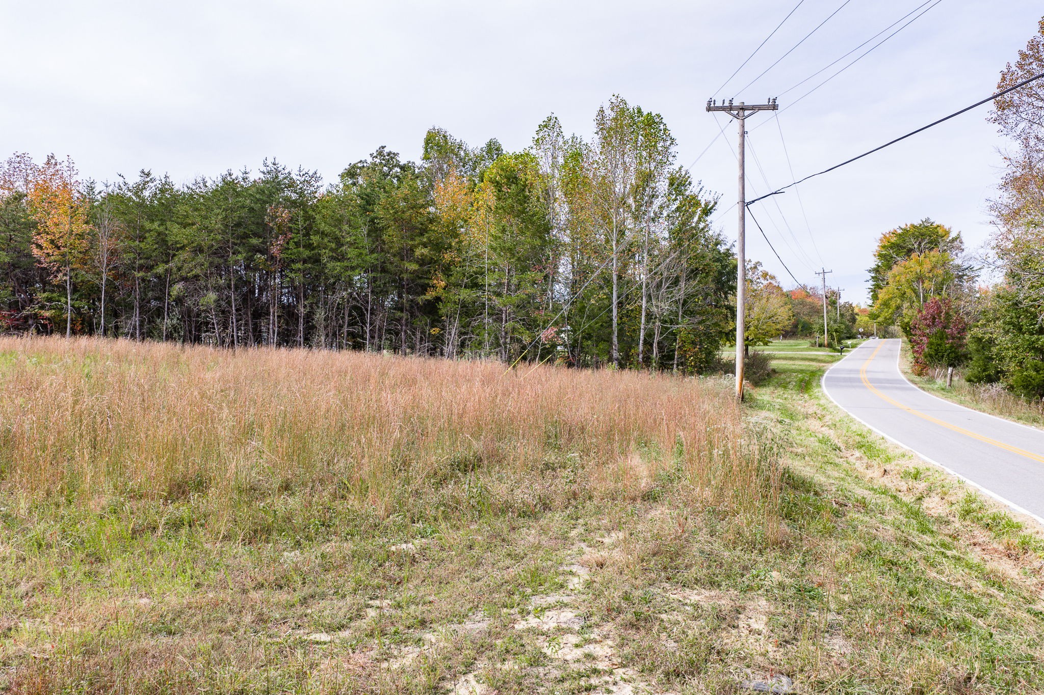 15826 Dodson Branch Hwy