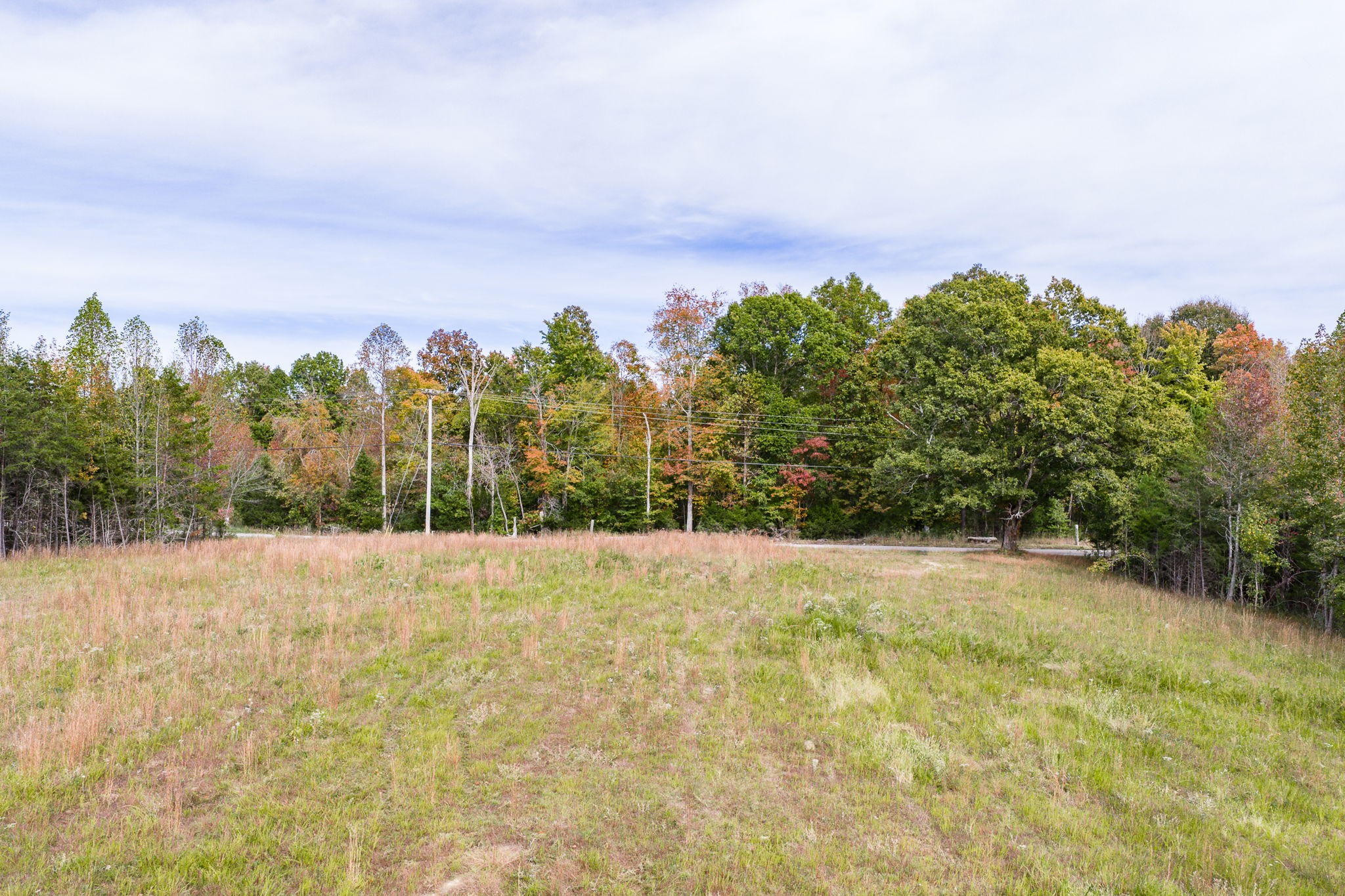 15826 Dodson Branch Hwy