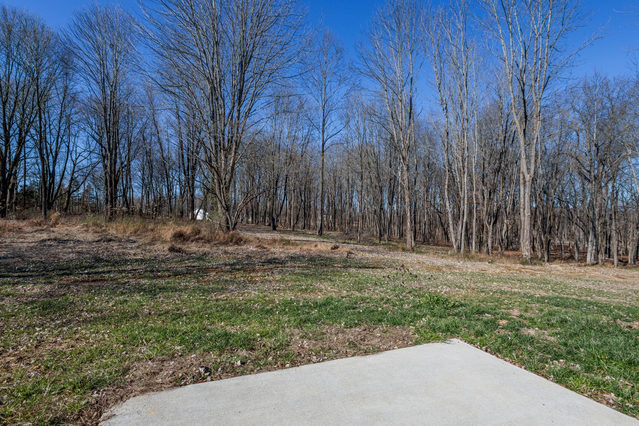 103 Cherry Blossom Way