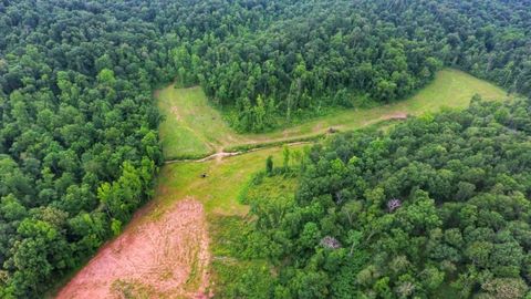 0 New Lawrenceburg Hwy Mount Pleasant TN 38474