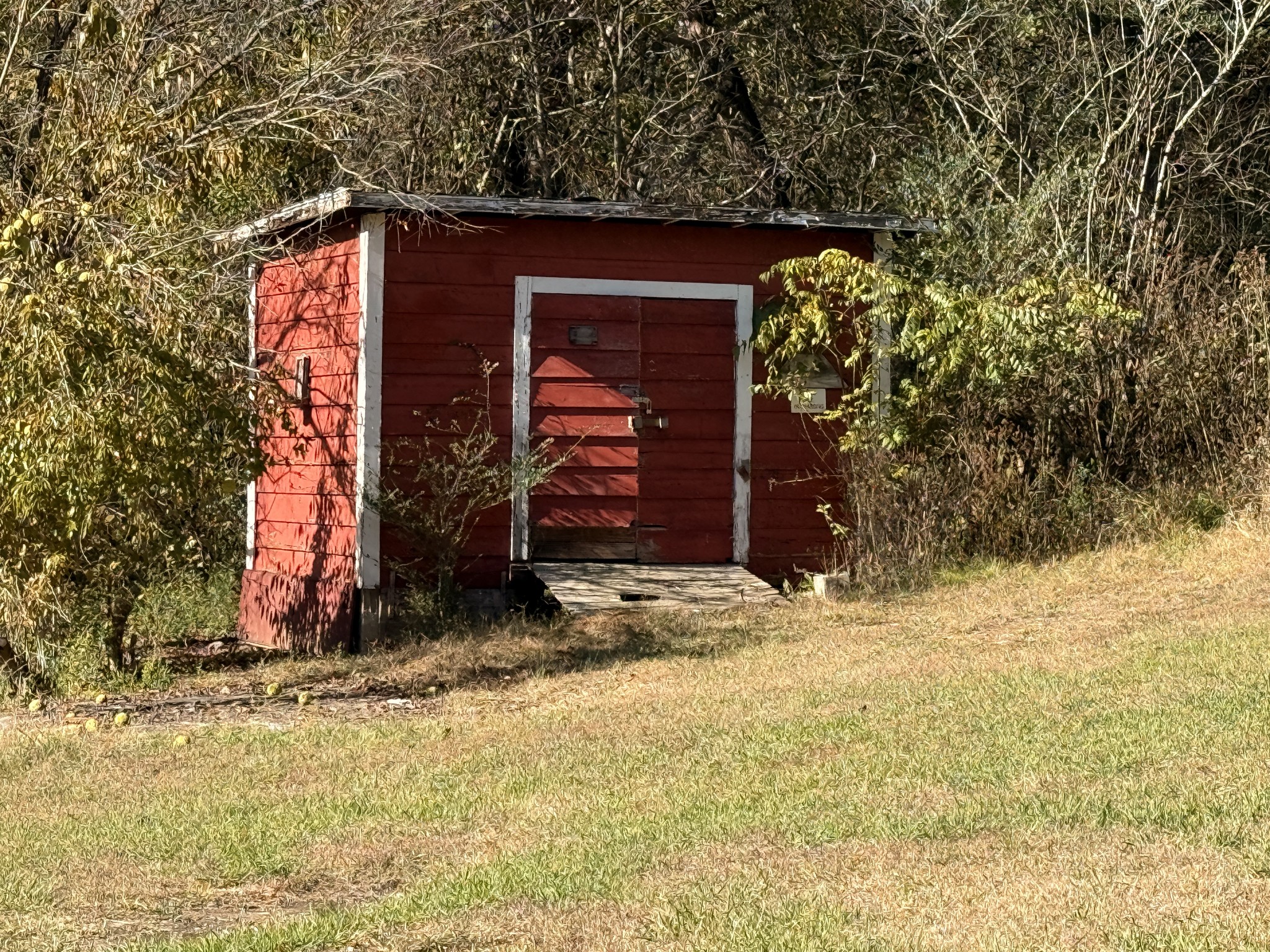 355 Chicken Creek Rd